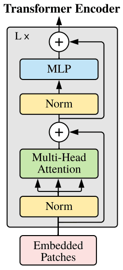 Transformer Encoder Visualization (source: arxiv.org)